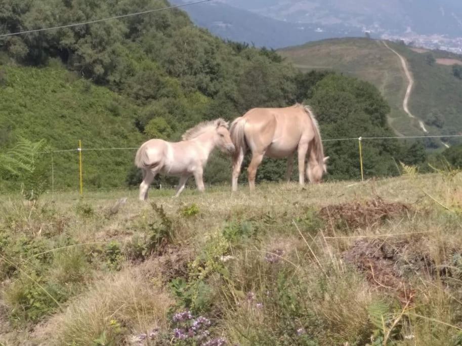 La Grangette De Pauline Mercus-Garrabet